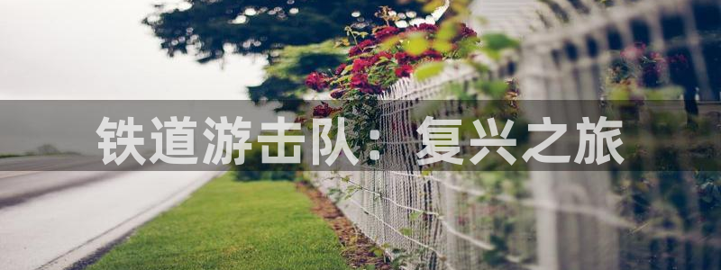 斑马系统怎么样：铁道游击队：复兴之旅