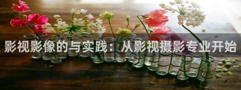 斑马斑马在线视频观看：影视影像的与实践：从影视摄影专业开始
