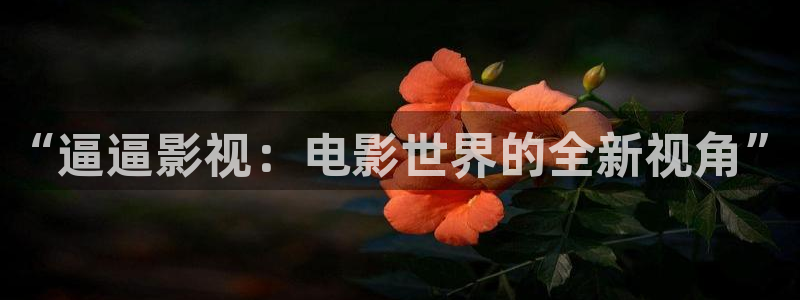 斑马在线观看视频：“逼逼影视：电影世界的全新视角”