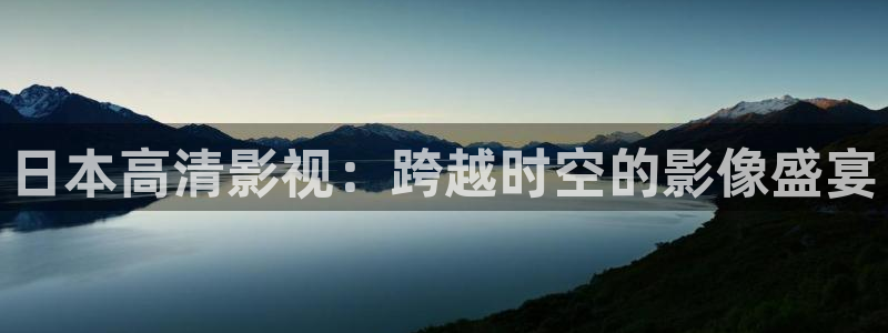 斑马800