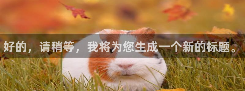 斑马电影免费版