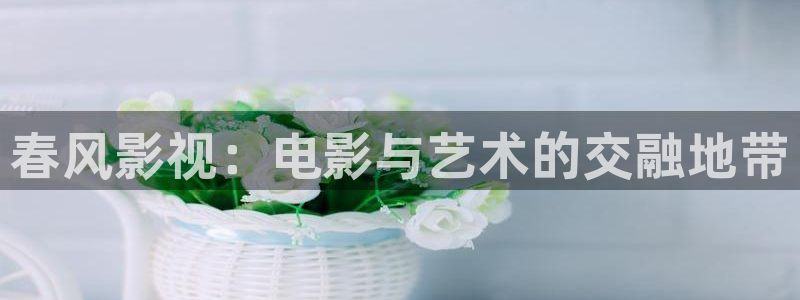 斑马jj15bk：春风影视：电影与艺术的交融地带