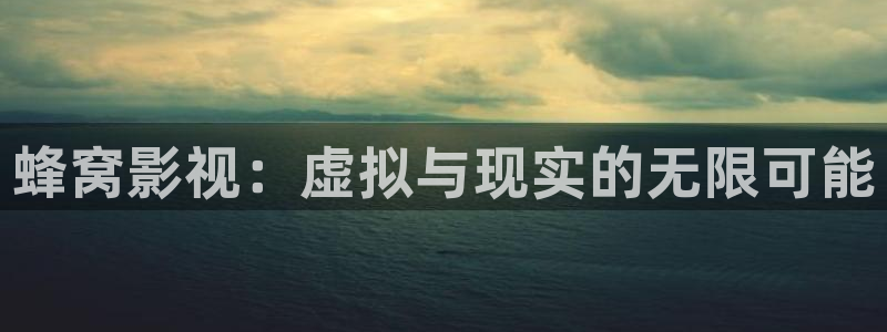 斑马技术有限公司：蜂窝影视：虚拟与现实的无限可能