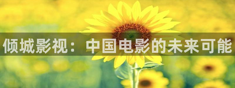 斑马 电影街：倾城影视：中国电影的未来可能