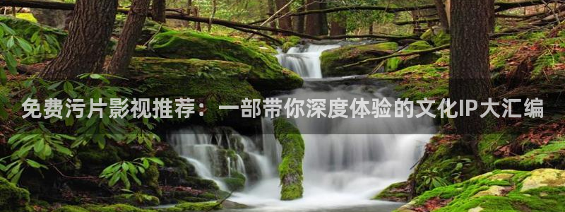 斑马电影街：免费污片影视推荐：一部带你深度体验的文化IP大汇编