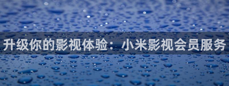 大斑马系统：升级你的影视体验：小米影视会员服务