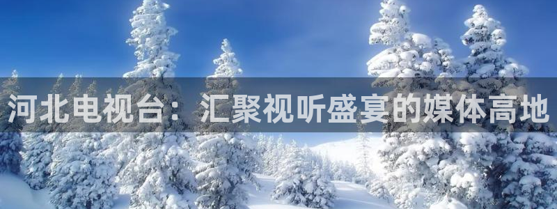 斑马 gk888：河北电视台：汇聚视听盛宴的媒体高地