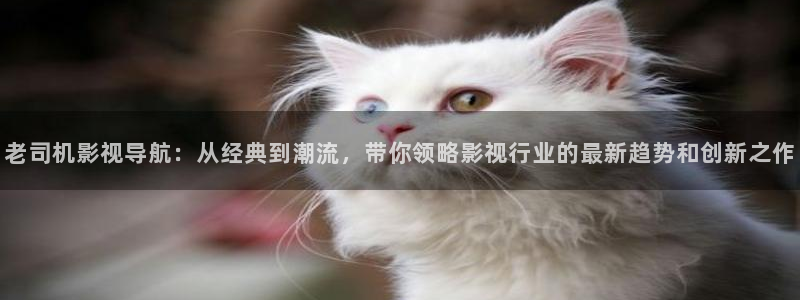 美国斑马电影：老司机影视导航：从经典到潮流，带你领略影视行业的最新趋势和创新之作